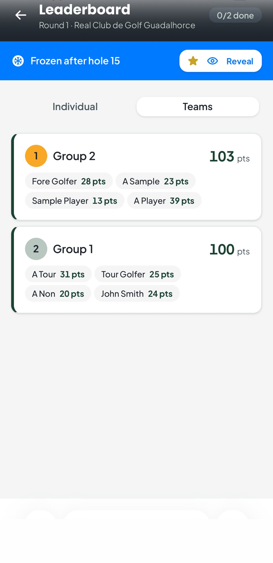 Team standings